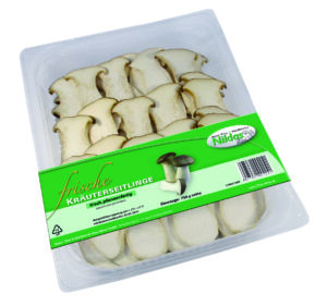 Banderole Pilze