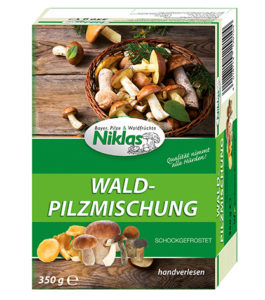 Faltschachteln Pilze