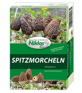 Faltschachteln Spitzmorchel