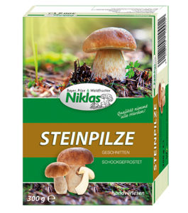 Faltschachteln Steinpilze